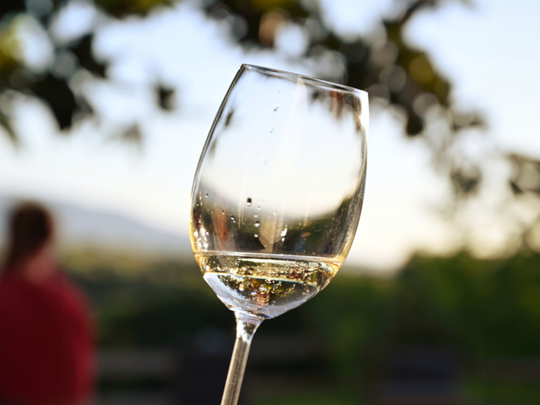 Gallery2024_11
